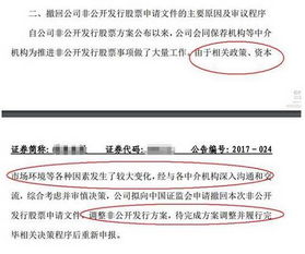 新規收緊減持，定增市場陷寒冬 撤回、終止、破發與融資驟降，非融資性擔保業務迎來考驗